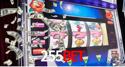 Descubra a Essência do 255bet: Nossa História e Compromissos
